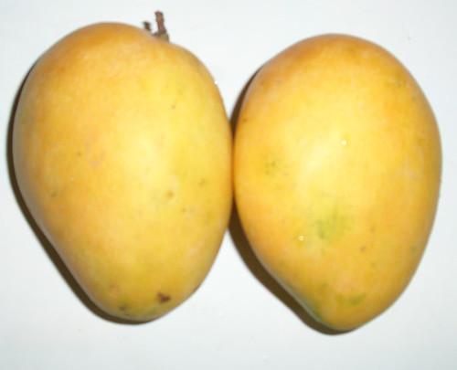 Fruits